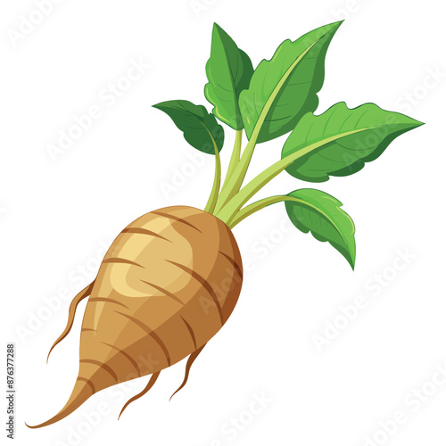 realistic Arrowroot against a white backdrop