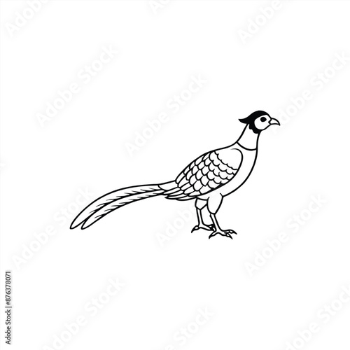 sketch of a bird bird, wildlife, nature, animal, wild, beak, feather, brown, quail, avian, isolated, white, young, black, birds, wing, animals, feathers, roadrunner, grass, pheasant, portrait