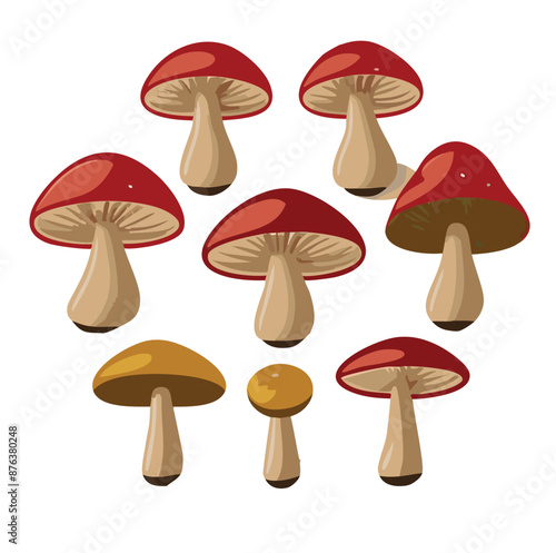 Illustration of Diverse Mushroom Species