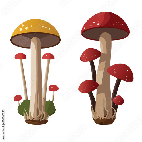 Illustration of Diverse Mushroom Species
