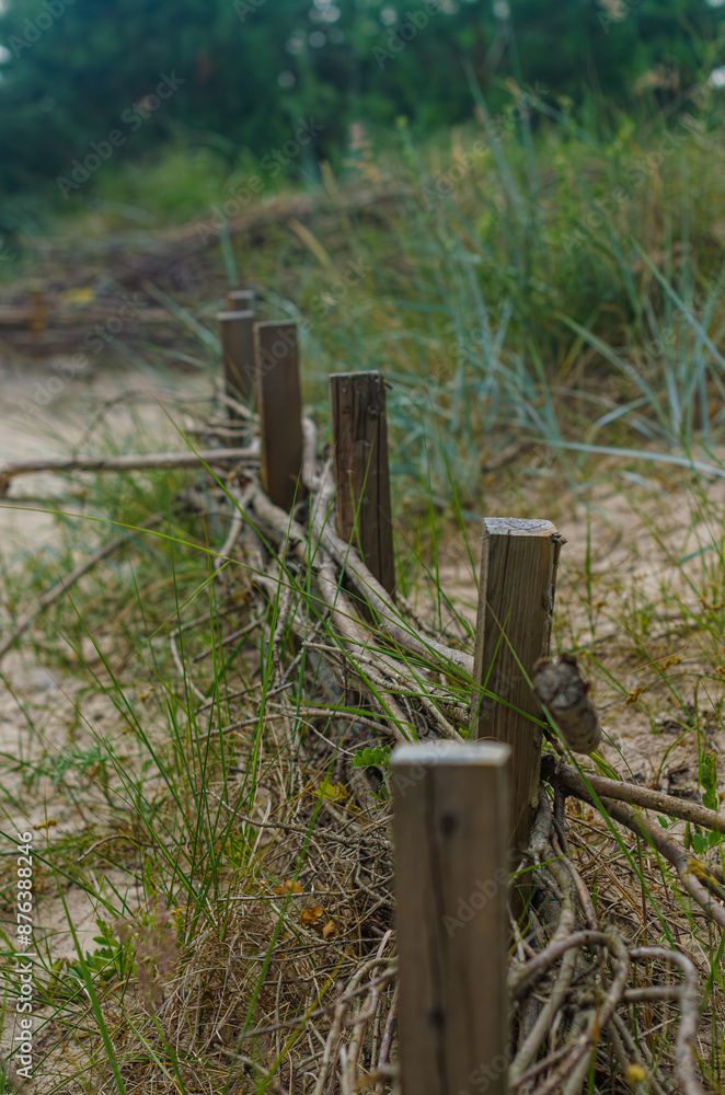 Fototapeta premium Here is a sandy beach dune, with a wooden fence along to grass. High quality photo
