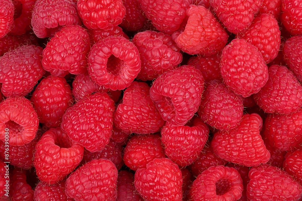 Fresh large raspberries. View from above.
Fresh large raspberries. View from above.
