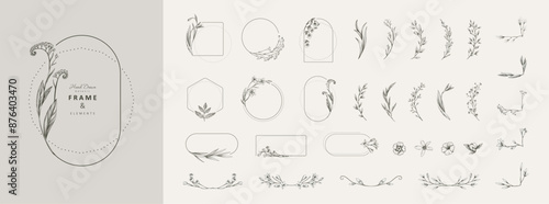 Set of detailed floral design elements. Delicate botanical frames, with flowers and leaves, intricate hand drawn details. Botanical vector illustration for invitation, save the date card