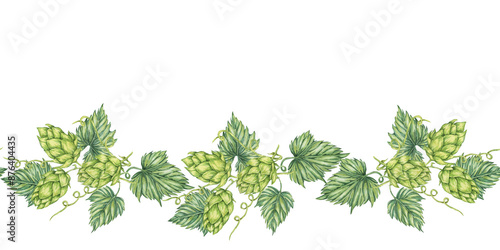 Obraz na płótnie Hops and leaves seamless border in watercolor