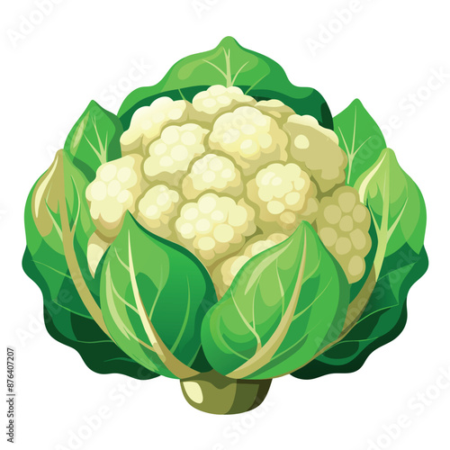 realistic cauliflower set against a white backdrop