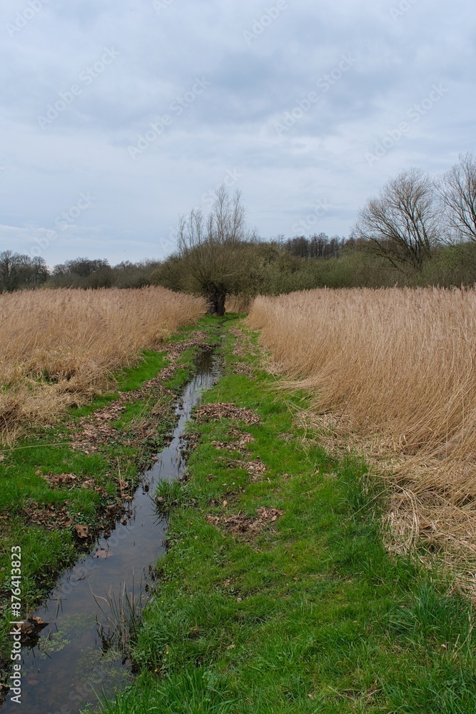 Obraz premium Schöne ländlichen Umgebung mit blauem Himmel