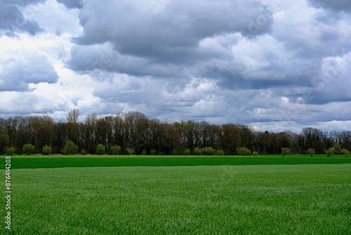 Schöne ländlichen Umgebung mit blauem Himmel photo