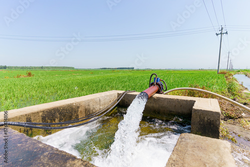 Water wells for paddy field irrigation in Northeast China