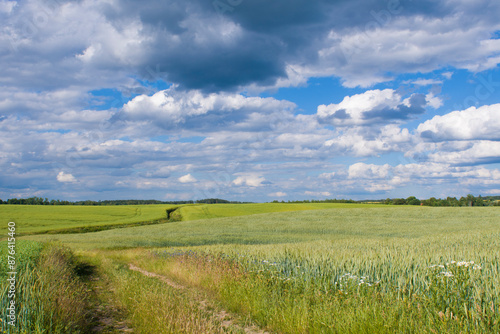 Fototapeta Naklejka Na Ścianę i Meble -  Warmińskie pola 2024
