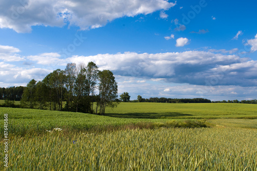 Fototapeta Naklejka Na Ścianę i Meble -  Warmińskie klimaty 2024
