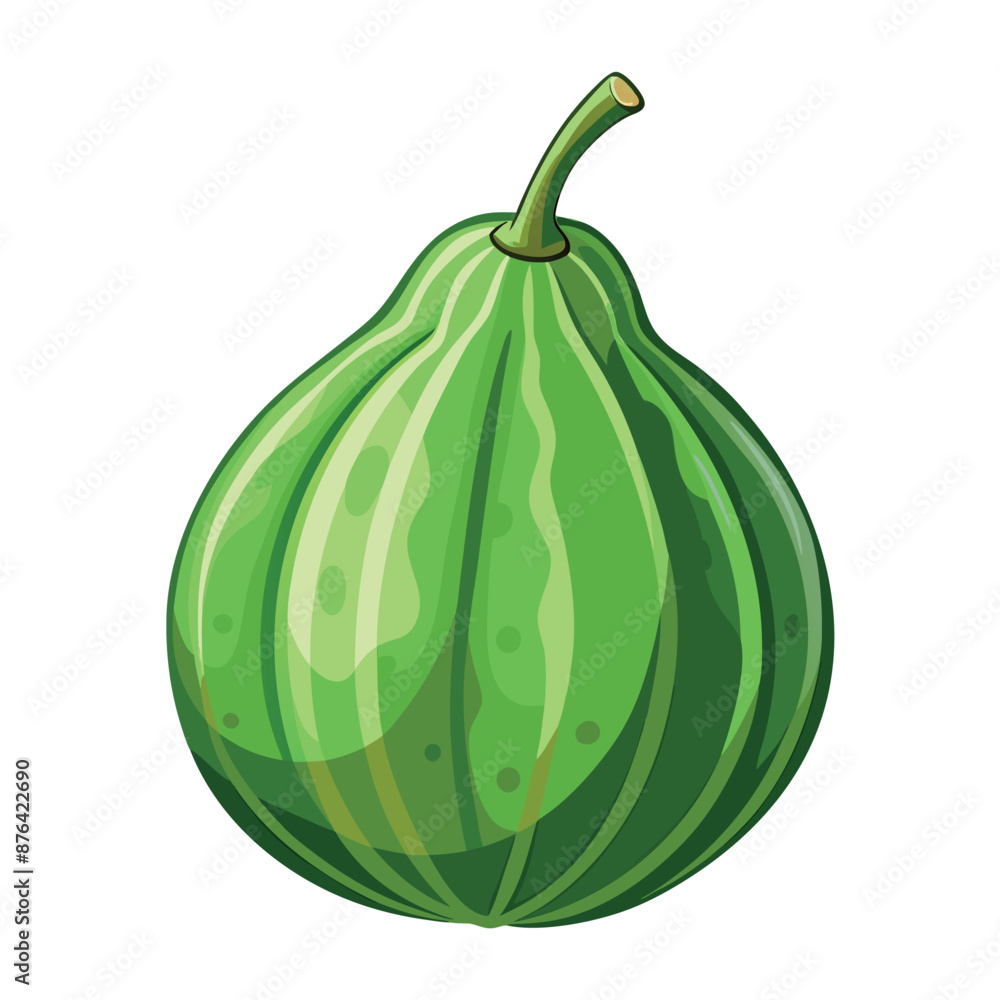 genuine ash gourd with a white backdrop genuine ash gourd with a white backdrop