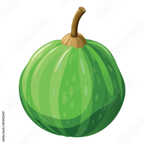 genuine ash gourd with a white backdrop