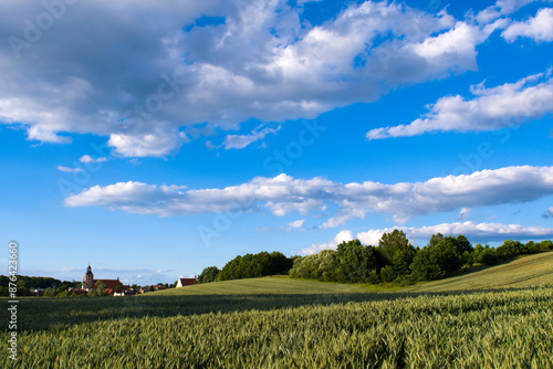 Fototapeta Naklejka Na Ścianę i Meble -  Widok na kościół od strony pola 2024