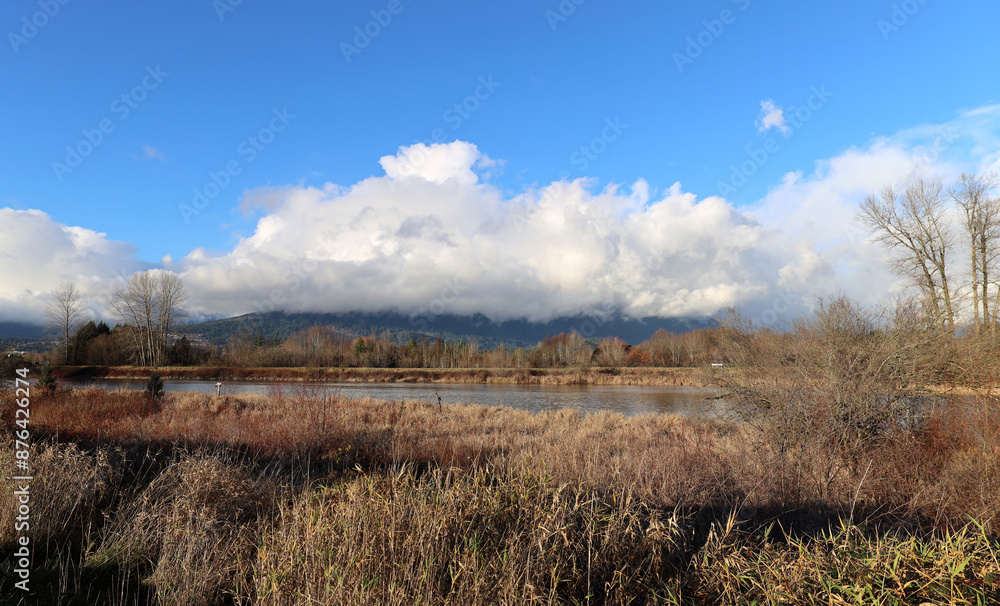 Fototapeta premium Country scenery with dry grass and cloudy skies