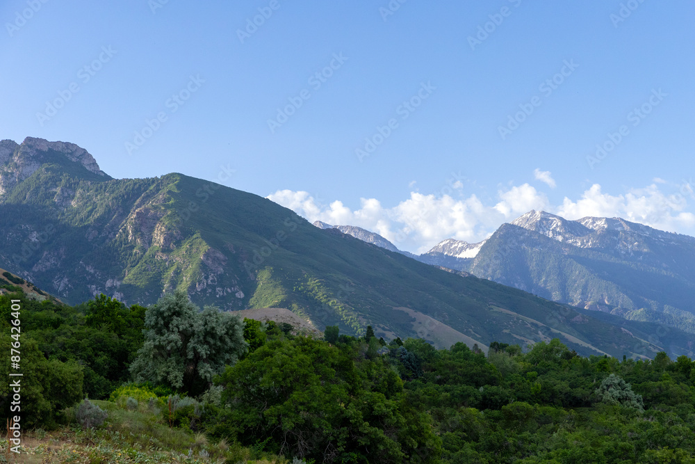 Fototapeta premium landscape in the mountains