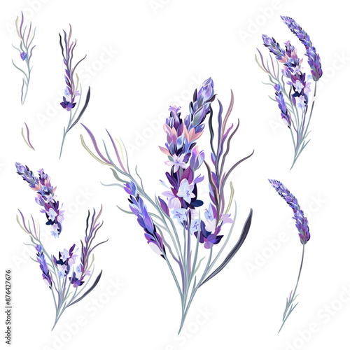Collection of vector lavender flowers in soft pastel purple colors