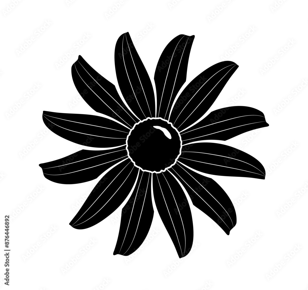 coneflower - black-eyed-susans (Rudbeckia) isolated on white background coneflower - black-eyed-susans (Rudbeckia) isolated on white background