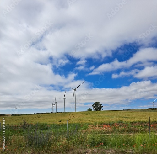 wind turbines in a green field