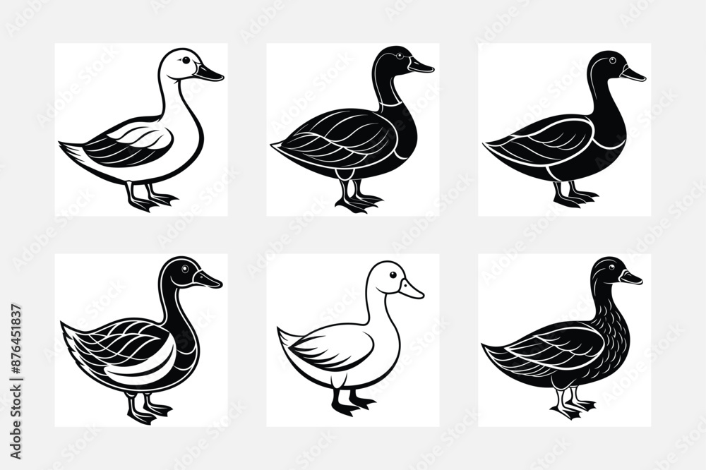 Duck illustration bundle