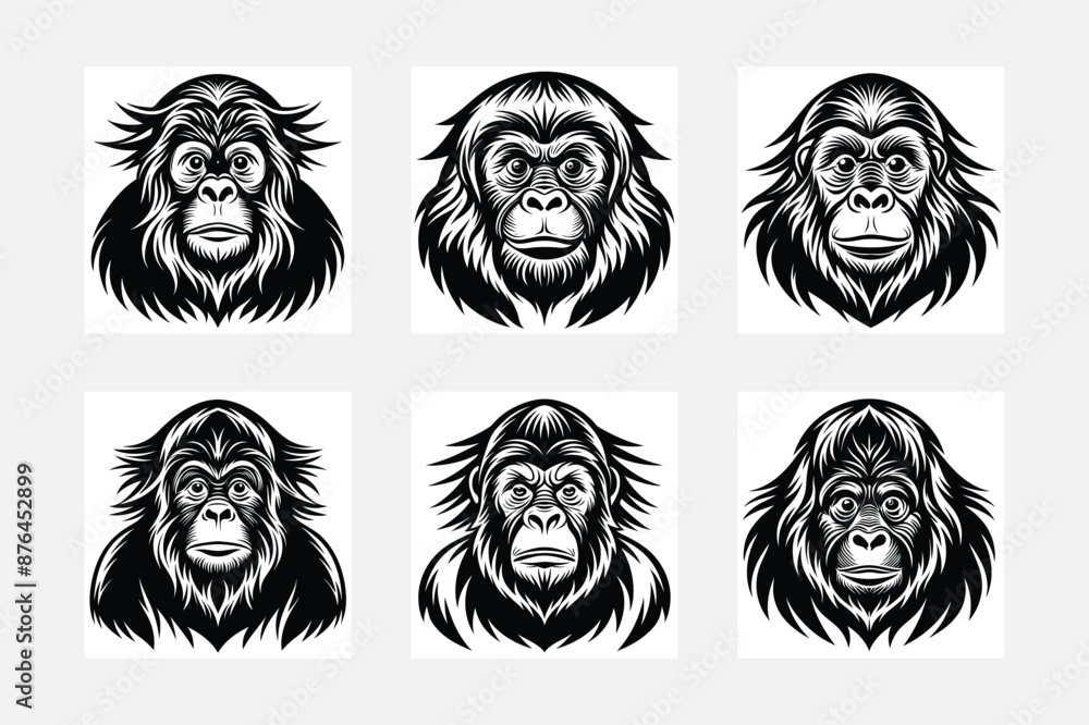 Orangutan illustration bundle Orangutan illustration bundle