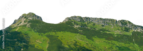 Green mountains in summer. 
