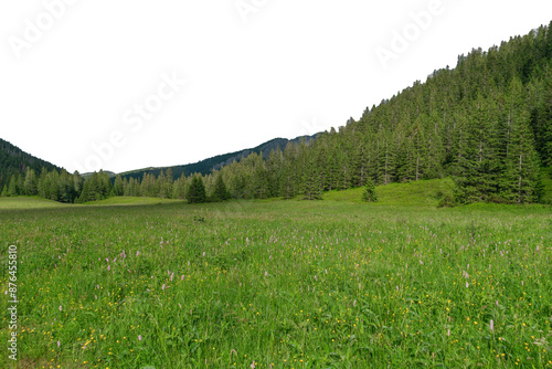 Beautiful summer landscape in a mountain valley. Isolated photo