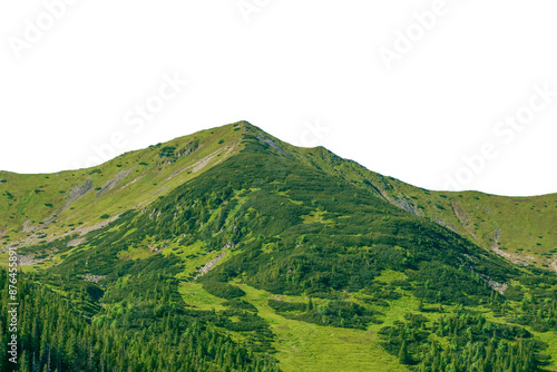 Green mountains in summer. 