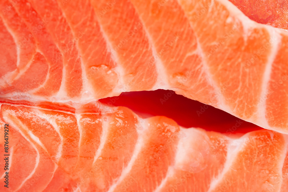 Fresh salmon. Close-up of fresh salmon fillet. Selective focus Fresh salmon. Close-up of fresh salmon fillet. Selective focus
