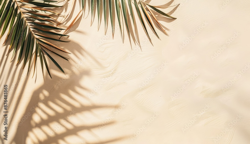 Palm Leaf Shadow on Sandy Background Palm Leaf Shadow on Sandy Background