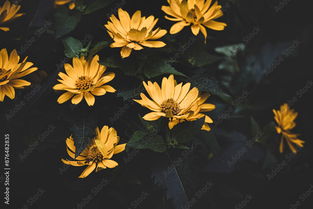 yellow flower against green leaves in the garden yellow flower against green leaves in the garden