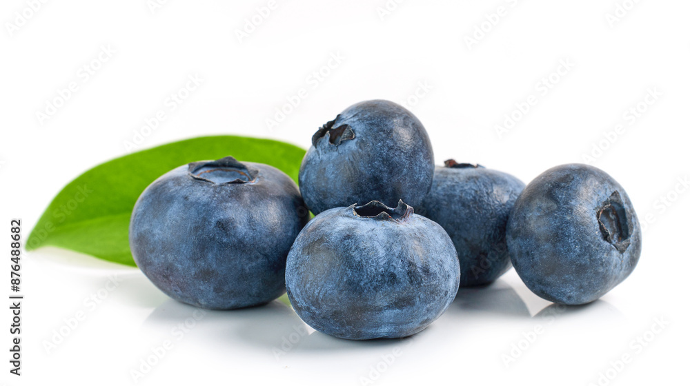 fresh ripe blueberries fresh ripe blueberries