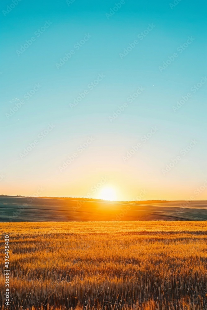 Vast field bathed in golden sunrise against clear blue sky Tranquil scene captures beauty of dawn Vast field bathed in golden sunrise against clear blue sky Tranquil scene captures beauty of dawn