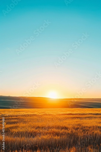 Vast field bathed in golden sunrise against clear blue sky Tranquil scene captures beauty of dawn