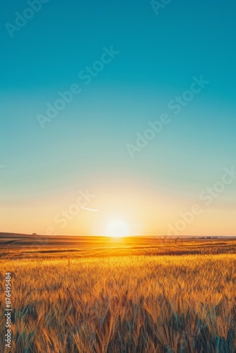 Vast field bathed in golden sunrise against clear blue sky Tranquil scene captures beauty of dawn