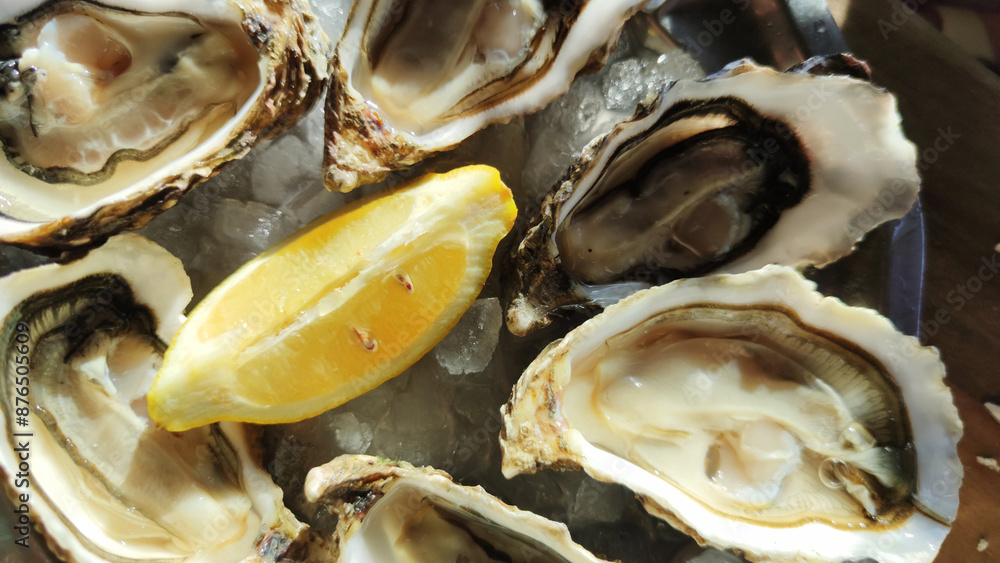 fresh french oyster as gourmet seafood fresh french oyster as gourmet seafood