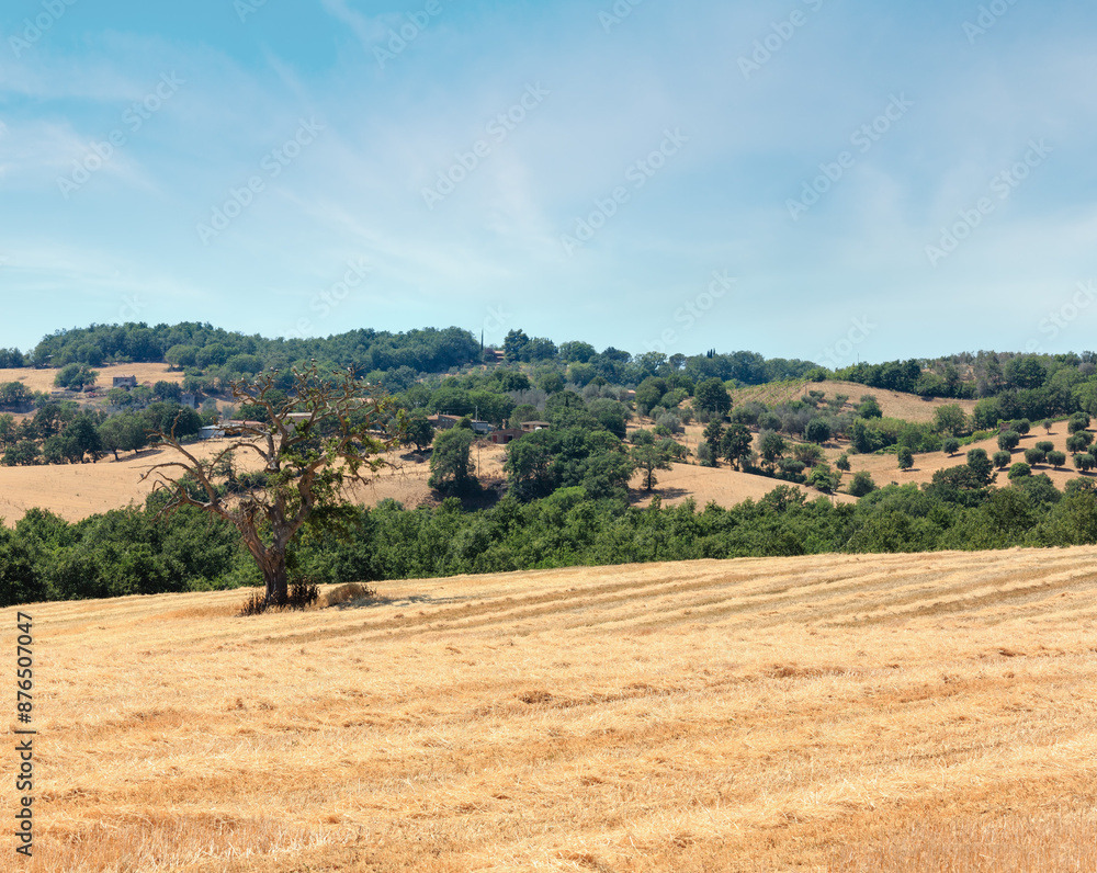 Fototapeta premium Tuscany summer countryside, Italy