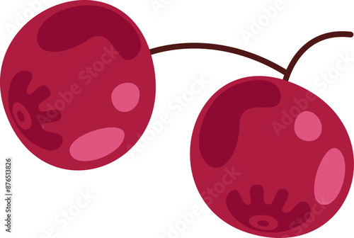 Cranberry Berries Branch
