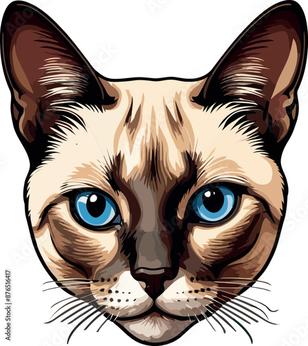 Siamese cat the Lovely Kitten with Blue Eyes of vector illustration isolated on a funny happy Domestic animal.