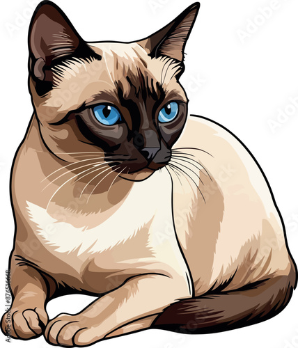 Siamese cat the Lovely Kitten with Blue Eyes of vector illustration isolated on a funny happy Domestic animal.