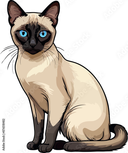 Siamese cat the Lovely Kitten with Blue Eyes of vector illustration isolated on a funny happy Domestic animal.