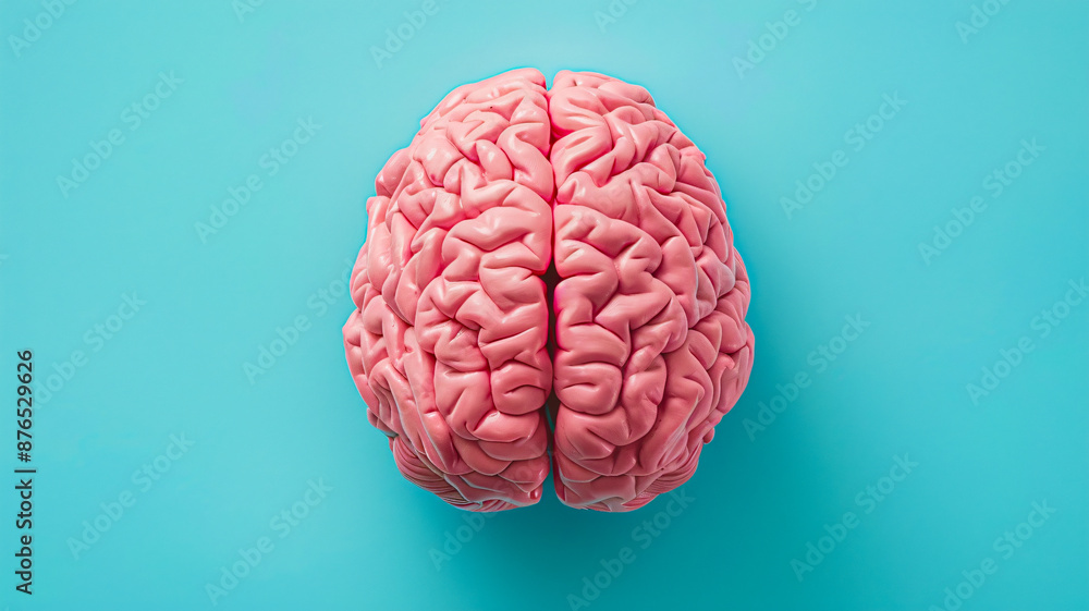 Brain model isolated on blue background for memory illustration Brain model isolated on blue background for memory illustration
