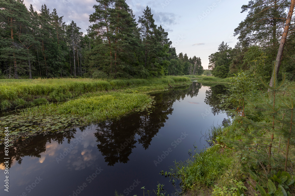 A serene river winds through a dense forest, its surface mirroring the twilight sky and the surrounding trees. A serene river winds through a dense forest, its surface mirroring the twilight sky and the surrounding trees.