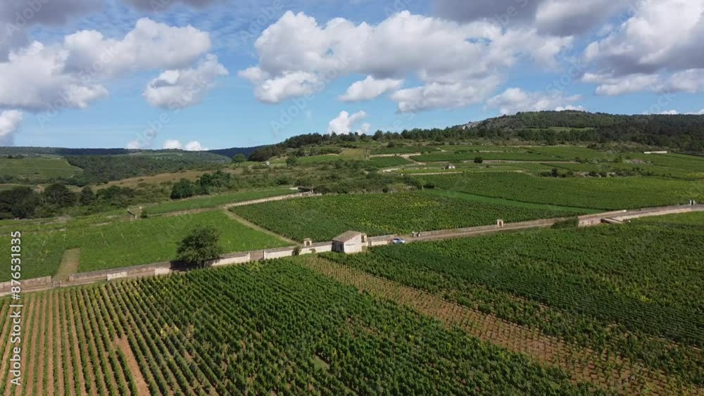 Aerial view on grand cru vineyards near Puligny-Montrachet village in Burgundy, France, making of white wine from chardonnay grapes Aerial view on grand cru vineyards near Puligny-Montrachet village in Burgundy, France, making of white wine from chardonnay grapes