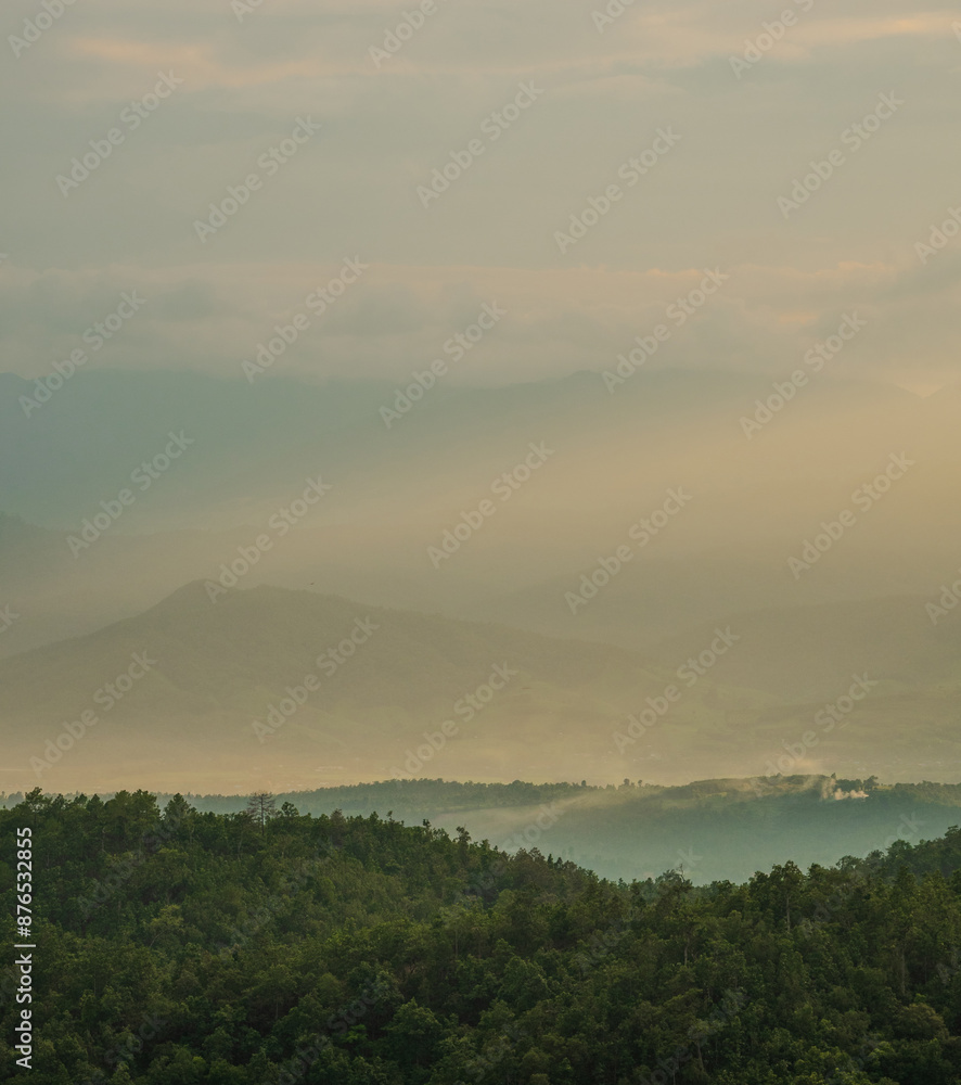 Naklejka premium landscape vetical view beautiful scenery looking rice field fog green tree forest Mountain hill natural blue sky cloud horizontal distant countryside thailand asia travel holiday wind relax dawn time