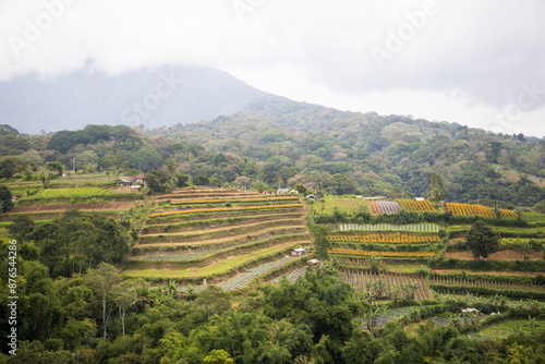 Obraz na płótnie Beautiful view of rice terraces in Bali, Indonesia
w salonie
