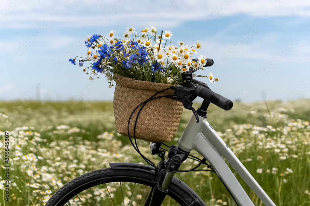 Naklejka premium White bicycle with a basket full of wildflowers including blue cornflowers and white daisies in a meadow on a sunny day. Concept of summer cycling, floral arrangements, and outdoor recreation . High