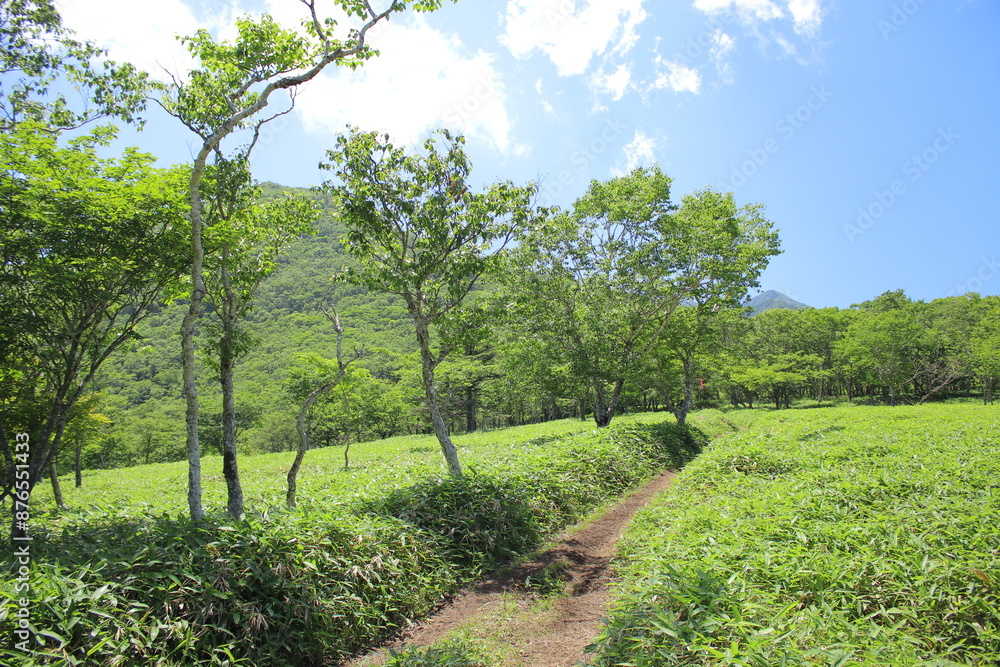 霧降高原とその周辺の風景 霧降高原とその周辺の風景