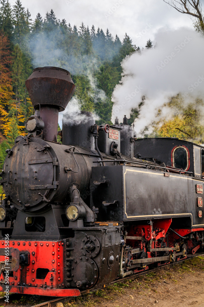Naklejka premium Europe, Romania. Moldovita, old Steam train. 2016-10-22
