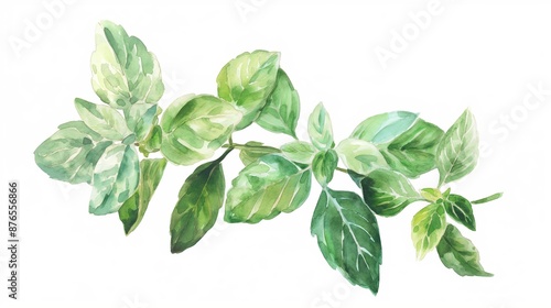 Colorful watercolor illustration of mint leaves, suitable for themes of gardening, culinary arts, and botanical beauty.