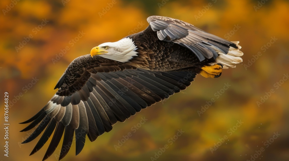 An awe-inspiring bald eagle captured in mid-flight, showcasing its powerful wings against a beautifully blurred autumn-colored background, representing freedom and strength. An awe-inspiring bald eagle captured in mid-flight, showcasing its powerful wings against a beautifully blurred autumn-colored background, representing freedom and strength.